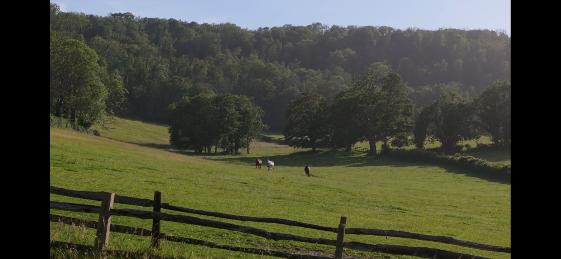 Wild meadow and folly